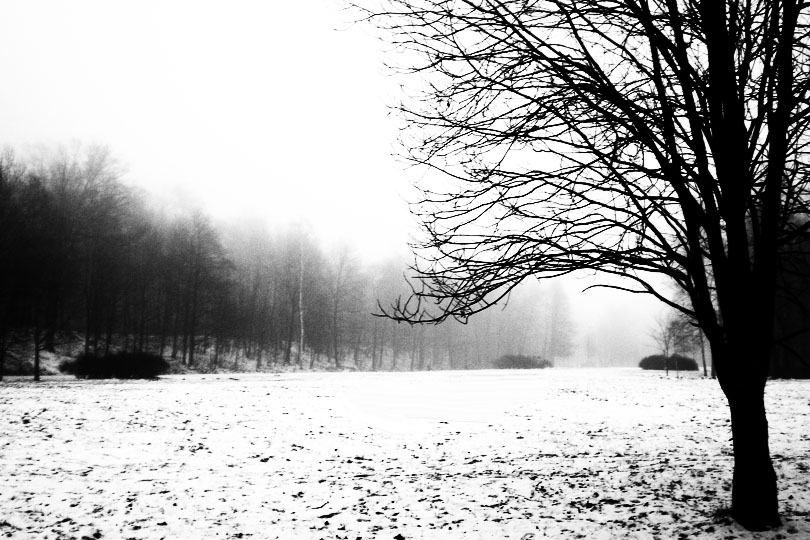 Фото Родион Иванов, b/w-inter
