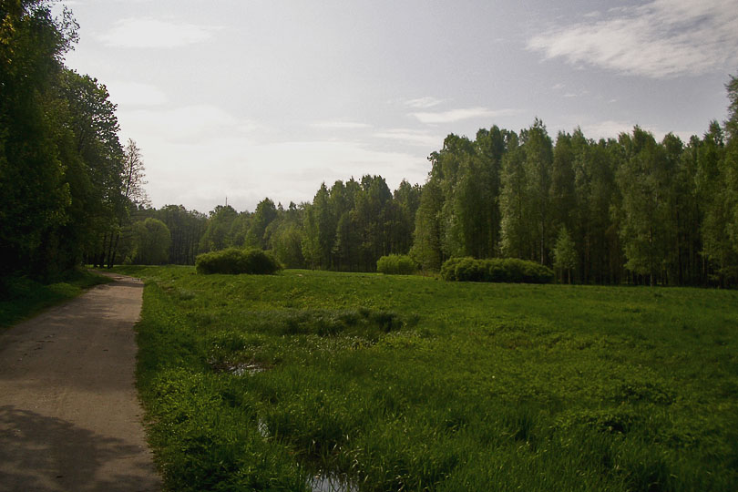 Фото Родион Иванов,