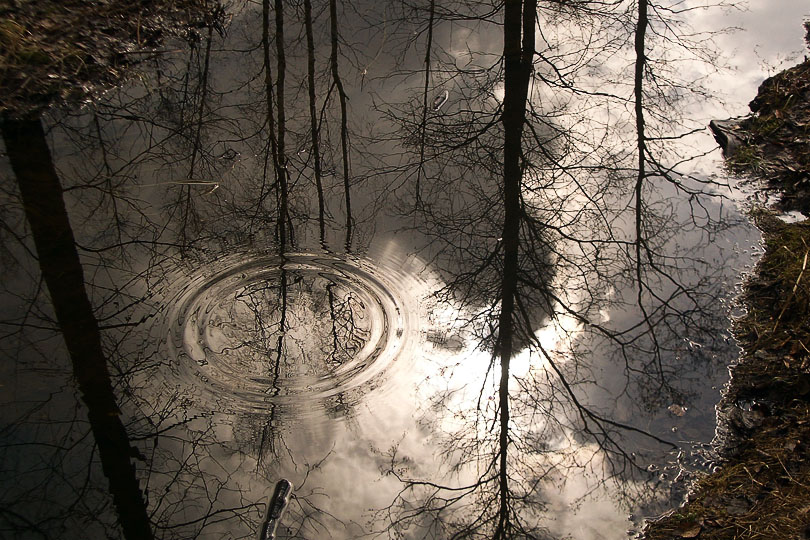 Фото Родион Иванов, illusion