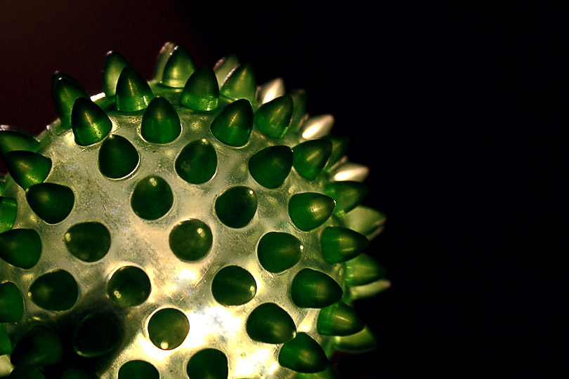 Фото Родион Иванов, greenWorld